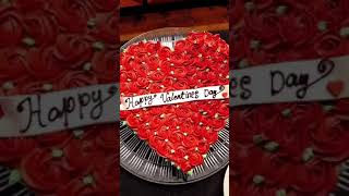 February 14th 2024 buffet live video Profile