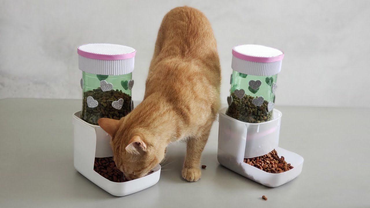 Como hacer comida para gatos