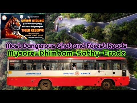 🚌KSRTC SARIGE DHIMBAM GHATS TRAVEL VLOG!!! Mysore to Erode|Sathyamangalam Tiger Reserve|Naveen Kumar