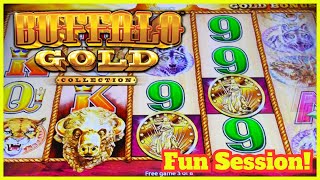 OMG! Buffalo Gold Collection - Dream Session - Hollywood Casino OHIO 400X Incredible!! Slot Machine