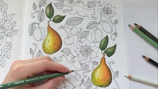 PEAR DRAWING / COLORING WITH COLORED PENCILS