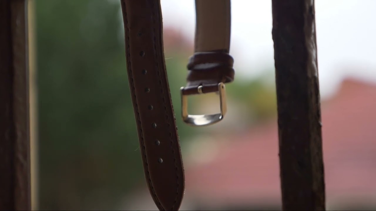 WD WATCH VIDEO