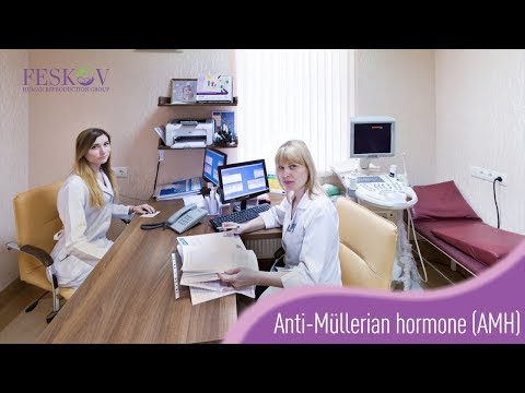 Video: Anti-Müllerian Hormon - Normen, økt Eller Redusert Når De Passerer