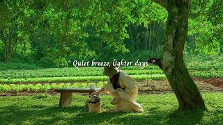 Quiet breeze, lighter days.../a playlist for quiet hours/