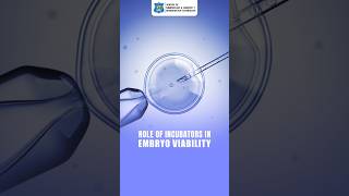 Role of Incubators in IVF Labs | How Embryo Incubators Support Embryo Development