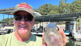 Toyota Series/Lake Of The Ozarks…Day 1 Practice Report…(Lot On The Line Here)