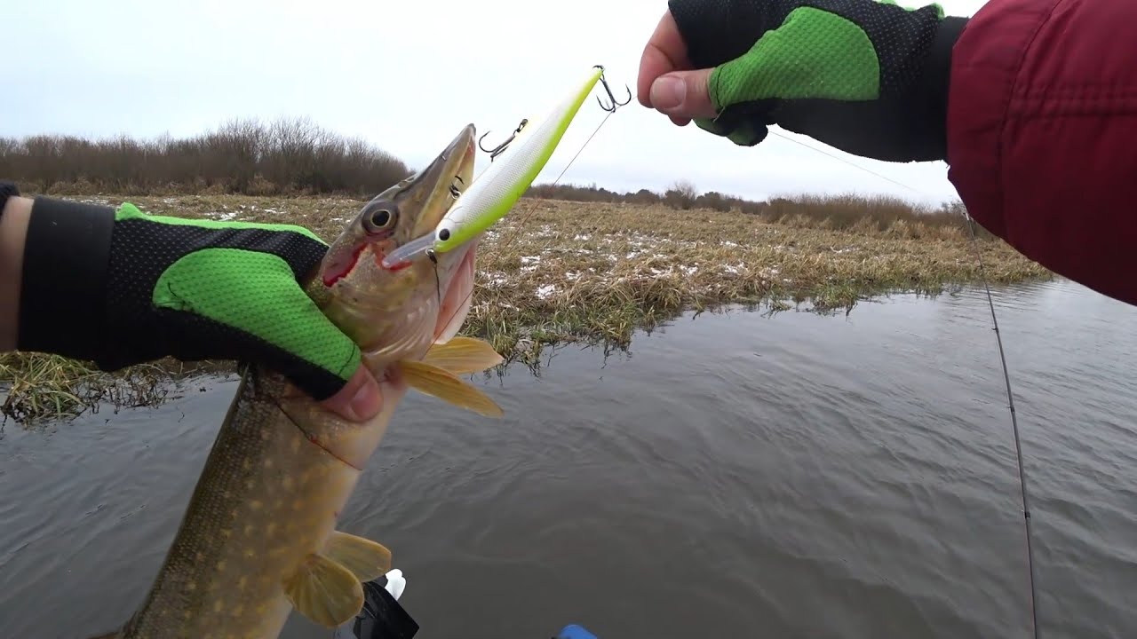 Рыбалка в ЯНВАРЕ 2025. Щука радует поклевками0117