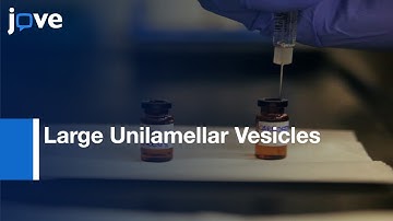 Examining BCL-2 Family Function With Large Unilamellar Vesicles l Protocol Preview