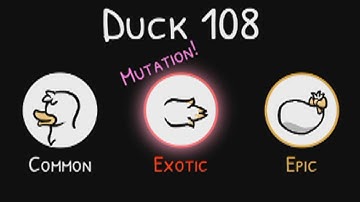 Exotic Egg | Cluster Duck