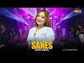 SHINTA ARSINTA - SANES | Feat. BINTANG FORTUNA ( Official Music Video )