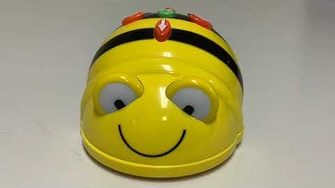 Bee-Bot Checkout kit