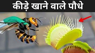 🤔मांस खाने वाले 😱पेड़ पौधे।। #shorts।। #viral video screenshot 1