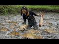 Harvesting Many Big Large Wild Fish in Mud Ponds - Selling Fresh Catch to the Village in One Day