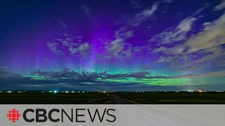 Sky grief: What happens when stars are no longer visible