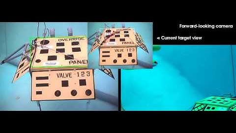Homography-based visual servoing for Autonomous Underwater Vehicles