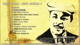 Neşet Ertaş - Bahar Gelmiş Resimi