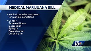 Alabama Legislature passes medical marijuana bill, sends to governor screenshot 5