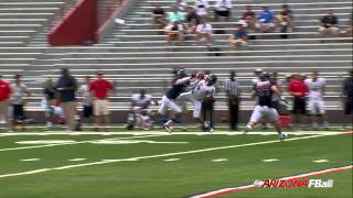 Trey Griffey Spring Football Play of the Game Details