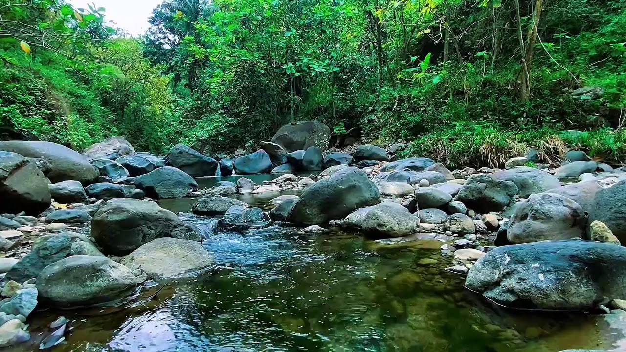 Mountain Stream Relaxing Flow, Forest River Water, Sleeping