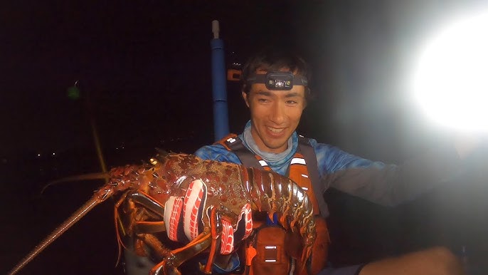 Lobstering How To With A Hoop Net California Style