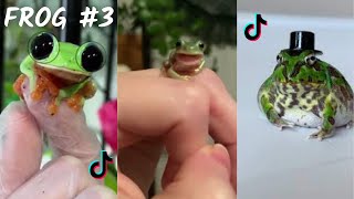 Funny Frog / TikTok & İnstagram Compilation  2023  4K PART 3