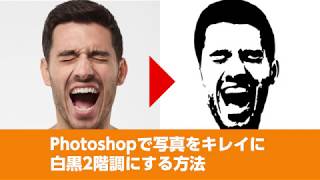 Photoshopで写真をキレイに白黒2階調にする方法 0 5秒を積み上げろ