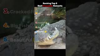 Ranking Top 5 Best Crocodile Moments