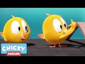 Where's Chicky? Funny Chicky 2020 | CHICKY'S INSTRUMENTS | Chicky Cartoon in English for Kids