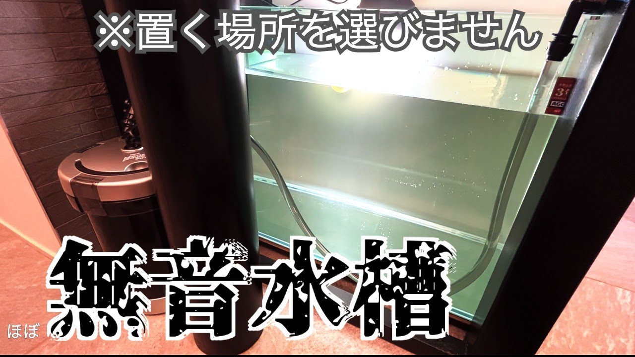 無音！超手軽！たったこれだけで大型水槽飼育が始められる - YouTube