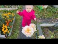 Дачный VLOG