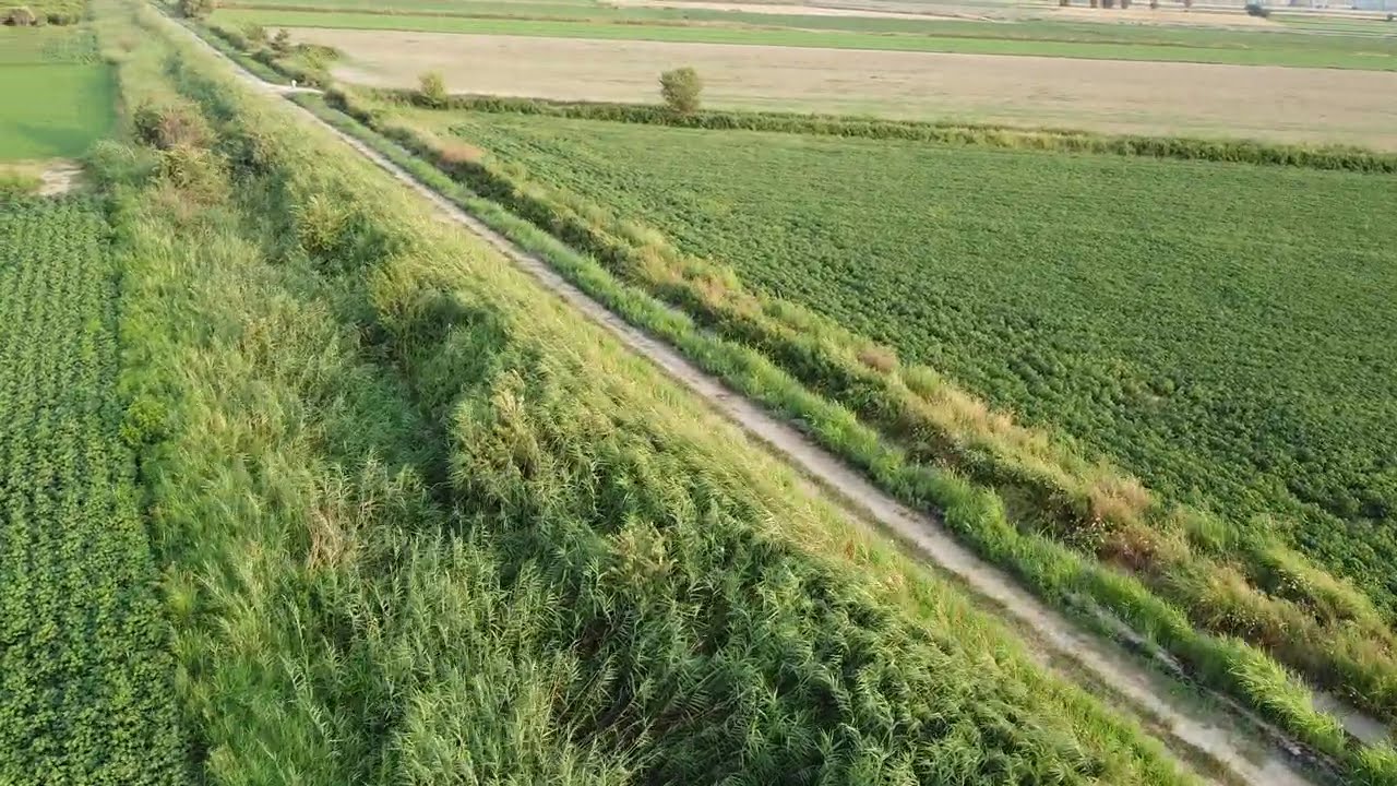 🎉 NAZİLLİ OVASINDA 4.891 M2 SATILIK🎉