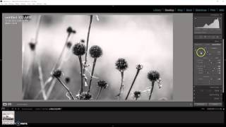 Learn Lightroom - Summit 1 - Import & Quick Develop
