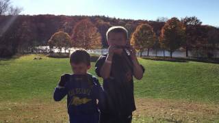 Harmonica Harmany333