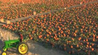 SACRAMENTO PUMPKIN PATCH GOBLIN GARDENS IN BAsTIAO FARMS