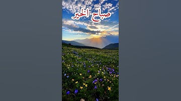 دعاء صباح اليوم #صباح_الخير #اصبحنا_واصبح_الملك_لله #اذكار_الصباح #shortvideo #حالات