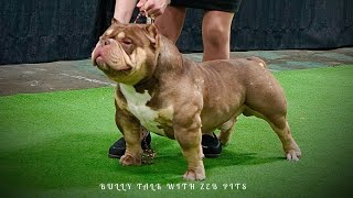 RUMBLE IN THE JUNGLE 5.0 DOCUMENTARY PART 1 AMERICAN BULLY: BULLY TALK WITH ZEB PITS