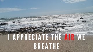 I Appreciate The Air We Breathe  - Daily Appreciations - Z. Zeahorse