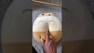 I Paid $2.99 For A Medium Squishmallow! | Budget Shopping Walgreens 90% Clearance Shopping Haul
