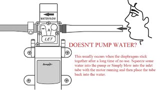 how to fix bayite 7A102 diaphragm pump, dead pump doesn't pump water