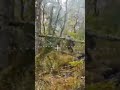 Военнослужащий ВСУ попал под удар российского дрона-камикадзе на оптоволокне