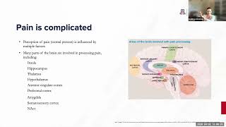 AZCRH Webinar Series: Pain and Pregnancy with Kathryn Emerick, MD