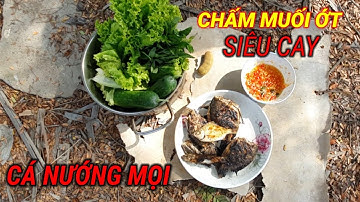VUONG LT VLOG Câu Cá Giải Trí | Ẩm thực | Cá Rô và cá Bống Nướng mọi chấm với Muối Ớt