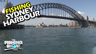 FISHING SYDNEY HARBOUR! Lure techniques for Sydney Harbour