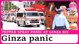 Panic at Tokyo's GINZA SIX after pepper spray incident affects 19