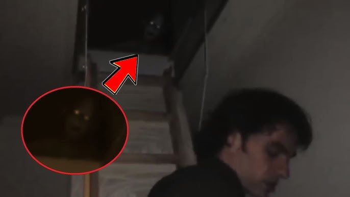 Rus qizlar bilan porno massaj Qizimning pornosini tomosha qilish