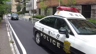 Japan 2024 GOPR1291