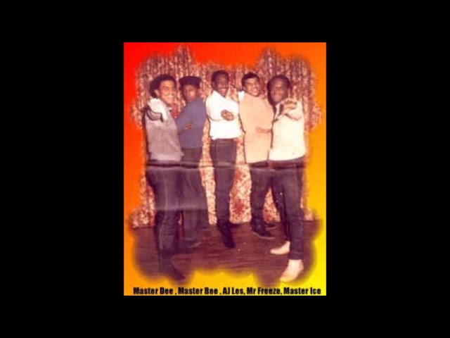 ヒップホップ+ラップ Two Brothers With Checks The Ultramagnetic MC's - Two Brothers With Checks (Hiphop