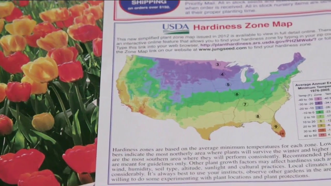 Melinda S Garden Moment Plant Hardiness Zones Youtube