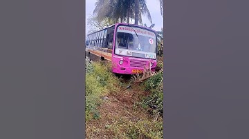 💥TNSTC PINK BUS #trenshort #tamilnews #busvideos #1million #ai #automobile #hornsound #reels #travel