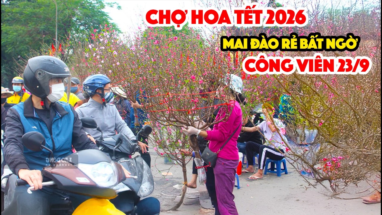 Chợ Hoa Tết Công Viên 23/9 Đào Mai Rẻ Bất Ngờ Toàn Siêu Phẩm Bà Con Chờ Giá